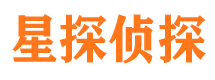 城子河市场调查